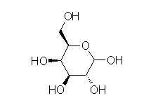 Molecular structure of Galactose Microparticles