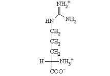 Molecular structure of Arginine