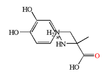 Molecular structure of Carbidopa