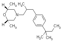 Molecular structure of Amorolfine