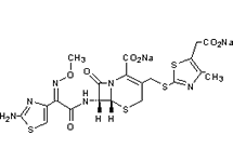 Molecular structure of Cefodizime (Na)