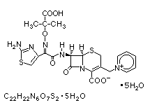 Molecular structure of Ceftazidime