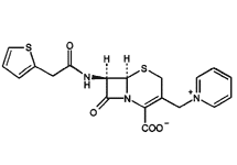 Molecular structure of Cephaloridine