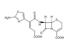 Molecular structure of Ceftibuten