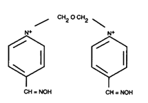 Molecular structure of Obidoxime (Cl)