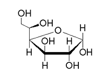 Molecular structure of Fructose