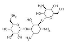 Molecular structure of Kanamycin (Acid Sulphate)