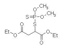 Molecular structure of Malathion