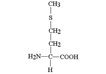Molecular structure of Methionine