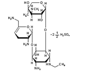 Molecular structure of Netilmicin (Sulphate)
