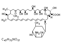 Molecular structure of Amphotericin B