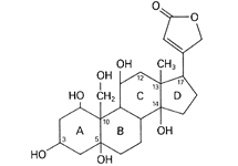 Molecular structure of Ouabain