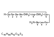 Molecular structure of Oxytocin