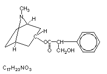 Molecular structure of Atropine (Sulphate)