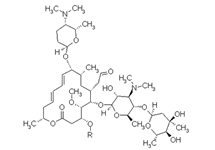 Molecular structure of Spiramycin