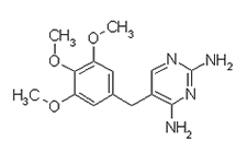 Molecular structure of Trimethoprim