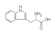 Molecular structure of Tryptophan