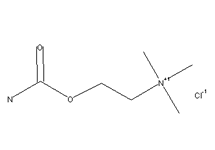 Molecular structure of Carbachol