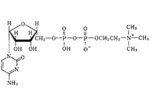 Molecular structure of Citicoline