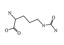 Molecular structure of Citrulline